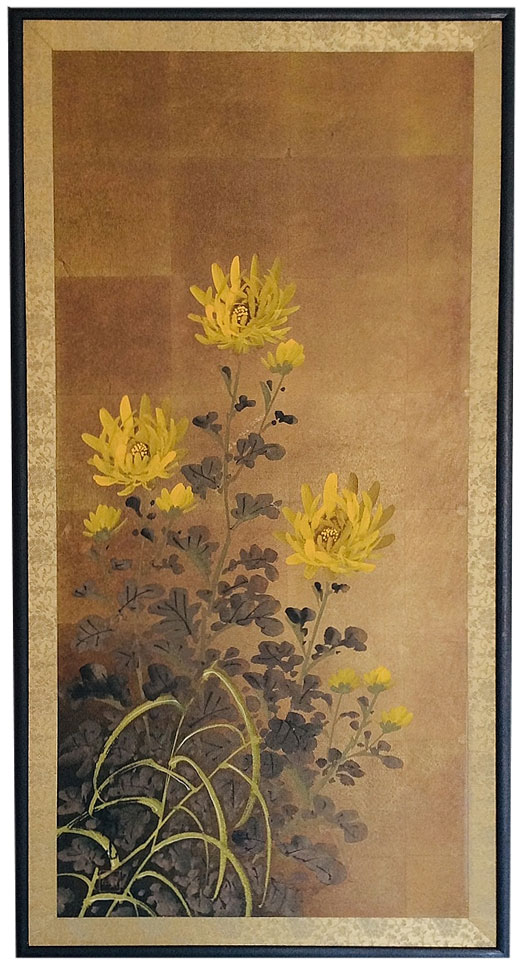 黄菊－Chrysanthemum－